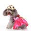 Personalized Christmas & Halloween Pet Costumes