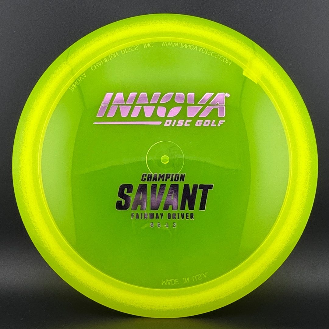 Champion Savant Disc Golf Driver