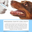 New Pet Toothbrush, Gentle Care, Fresh Breath Clean Bad Breath Pet Teeth Cleaning Pen - Korvel