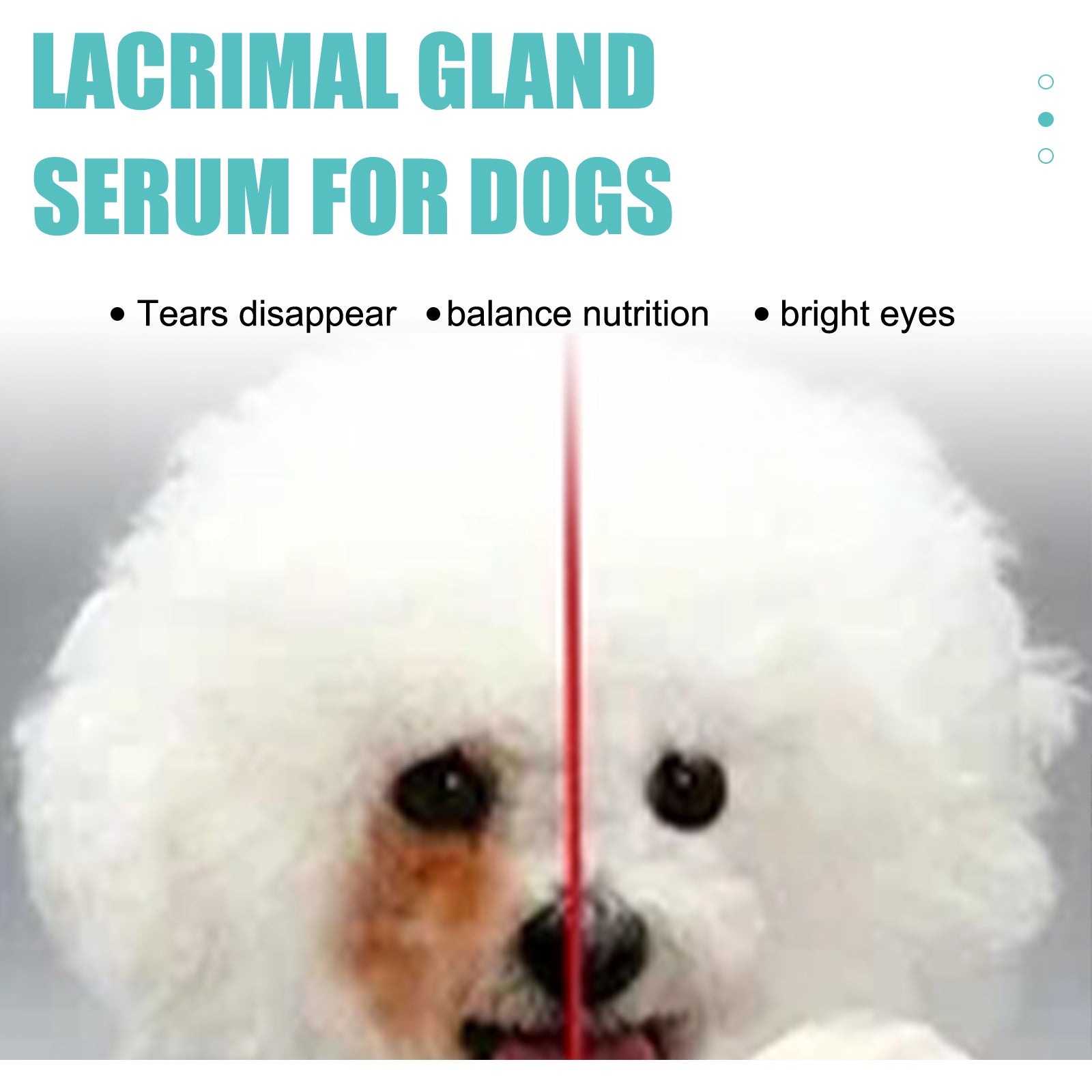 Tear Duct Serum For Dogs, Cats And Dogs Removal Eye Poop Pet Topical Eye Tear Stain Serum - Korvel