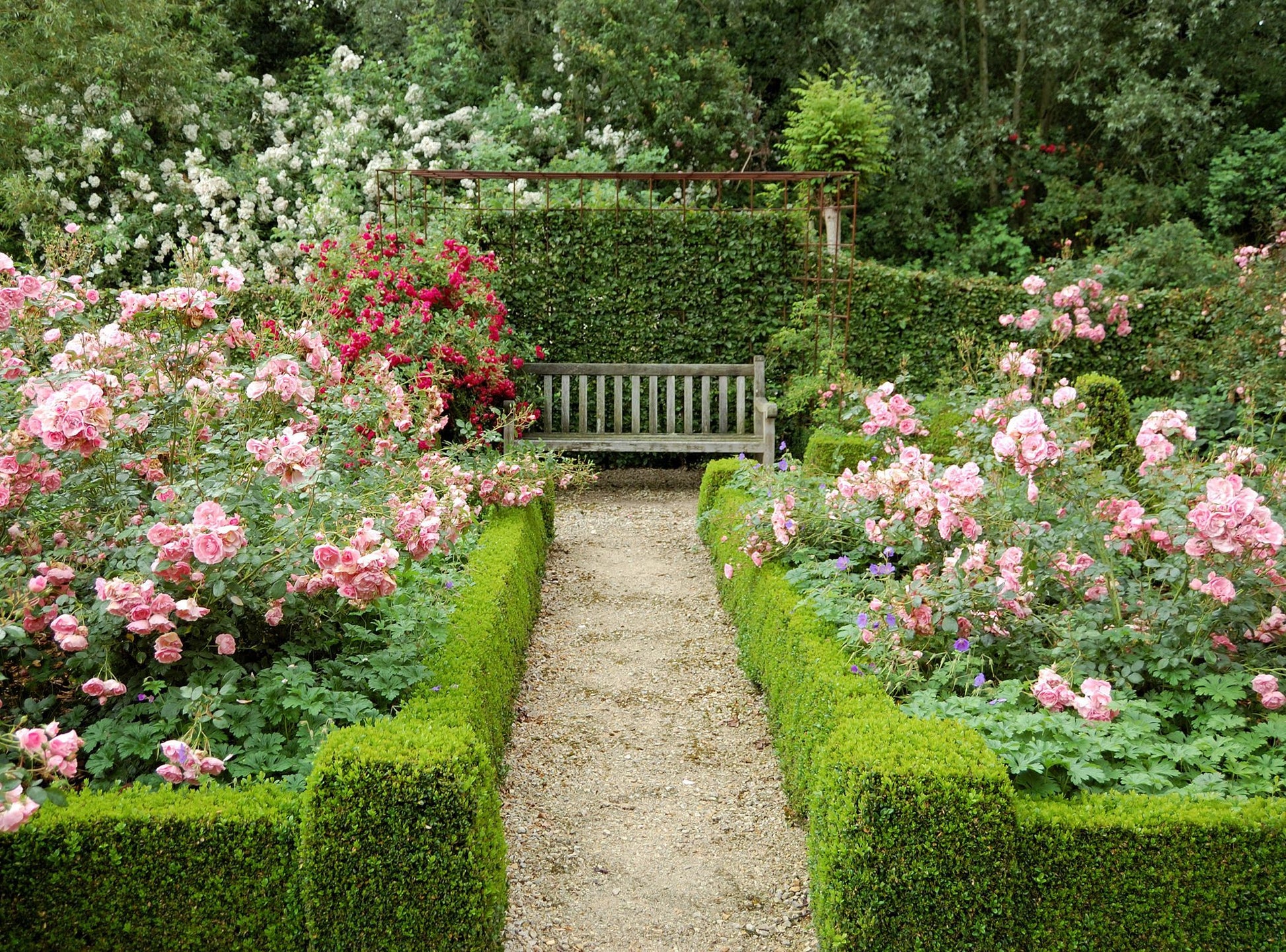 English Garden Soy Candle – Elegant Floral Scent | Mam Jam’s - Korvel