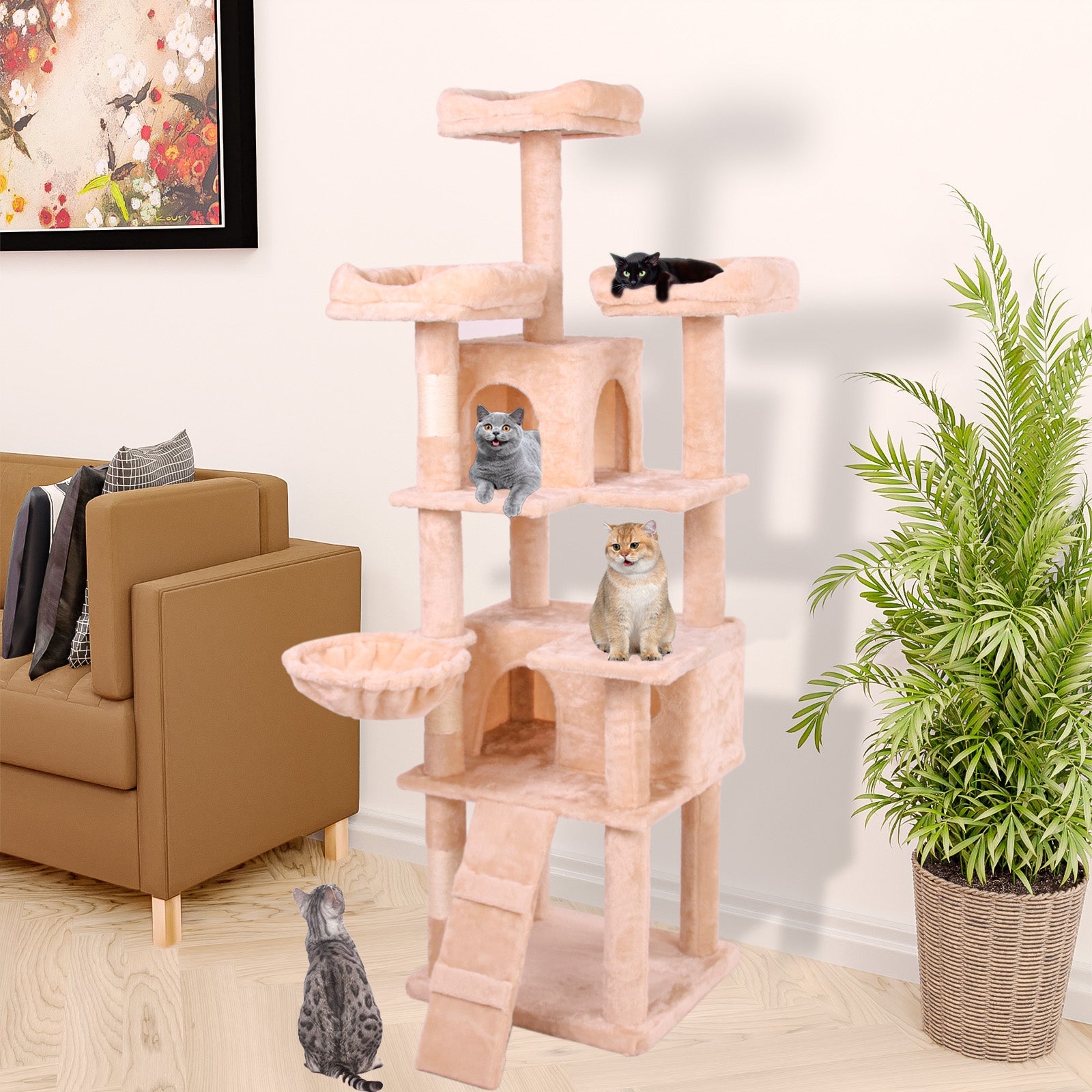 Cat Climbing Frame3 - Korvel