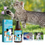 Pet Glucosamine Drops Relieve Pain Of Bones And Joints For Pets Body Care For Cats And Dogs - Korvel
