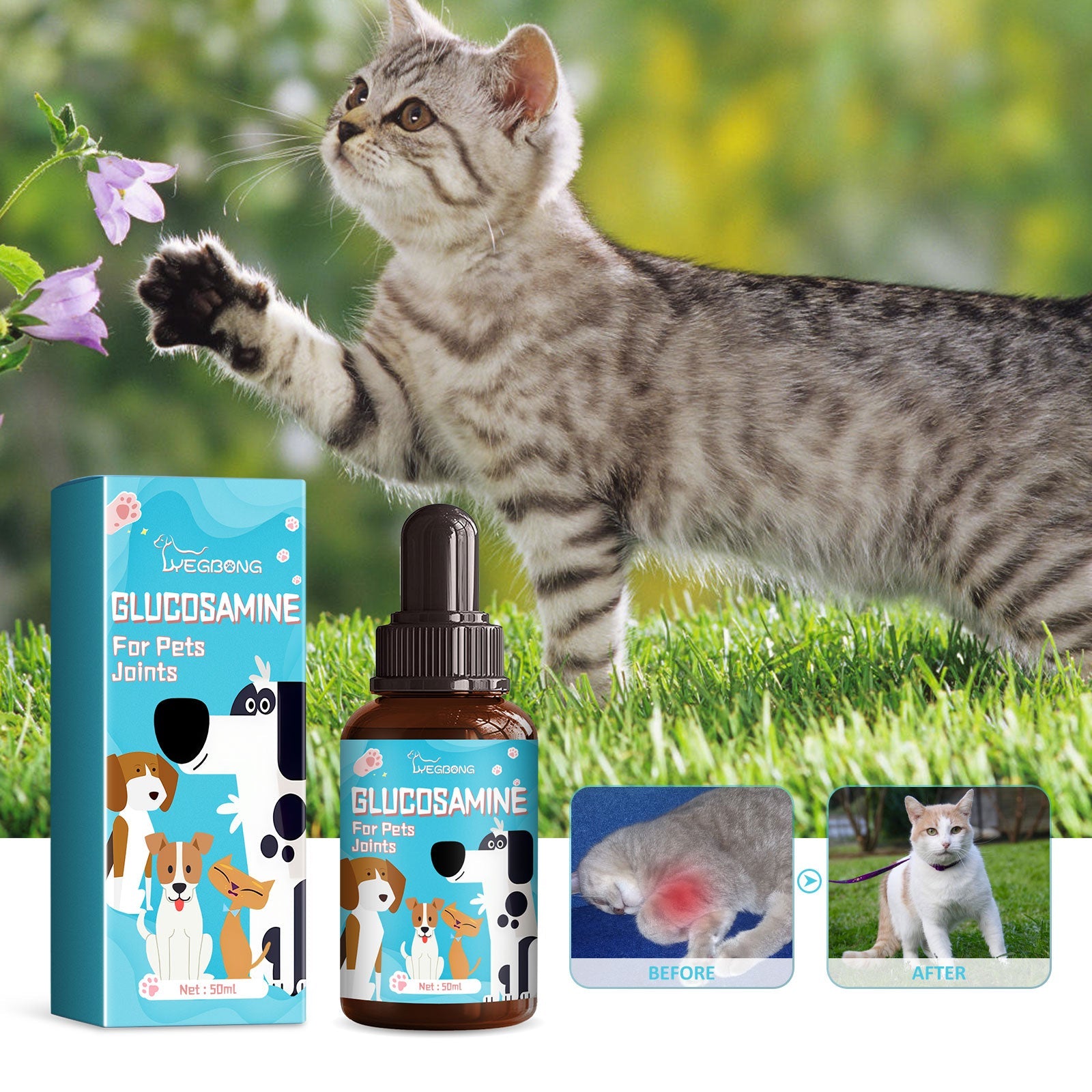 Pet Glucosamine Drops Relieve Pain Of Bones And Joints For Pets Body Care For Cats And Dogs - Korvel