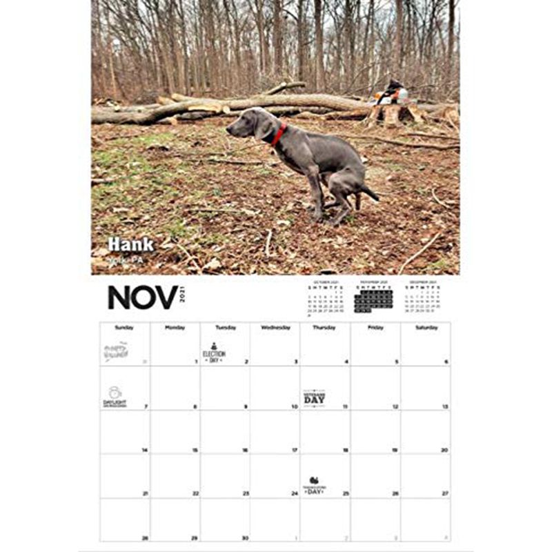 2021 Pooping Pooches Calendar White Elephant Gag Gift Calendar 2021 Calendar Poster Retro Decor Painting - Korvel