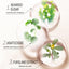 Rice Mask Facial Skin Fine Lines Moisturizing Desalination Brightening Skin Rice Mask Skin Care Products - Korvel