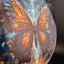 Fuzion Escape - DyeMax - All Knowing Butterfly Disc Golf Driver