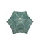 12 Holes Foldable Crab Fish Trap Cast Net Cast Folding Fishing Net - Korvel
