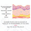 Rose Hip Facial Essential Oil Facial Body Moisturizing Skin care Supple Hair Care Massage Essential Oil - Korvel