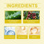 Body Care Bar Body Care Cream Moisturizes And Hydrates Skin And Improves Elasticity Daily Body Care Cream - Korvel
