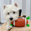 Jouets de football pour chiens durables pour un jeu actif