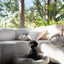 Lit pour chien Cozy Cloud en beige