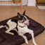 Premium Waterproof Lounger Dog Bed in Rich Brown