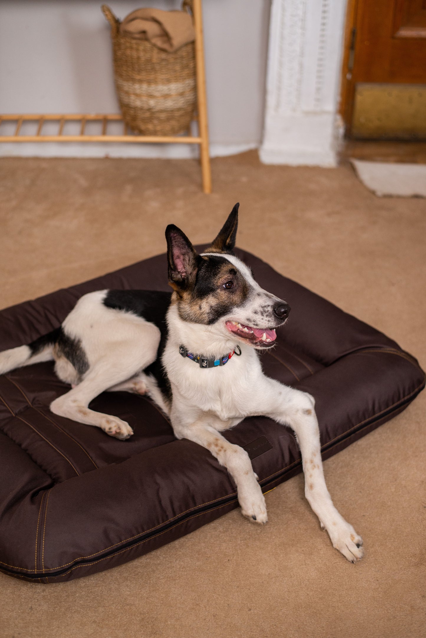 Premium Waterproof Lounger Dog Bed in Rich Brown