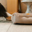 Cama para perros de terciopelo taupe lujosa