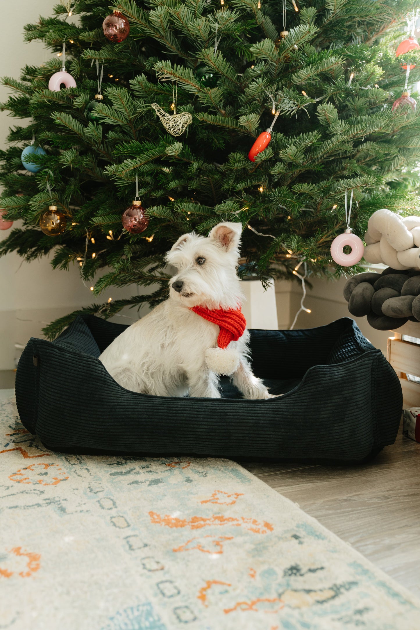 Luxurious Graphite Corduroy Dog Sleeper Bed