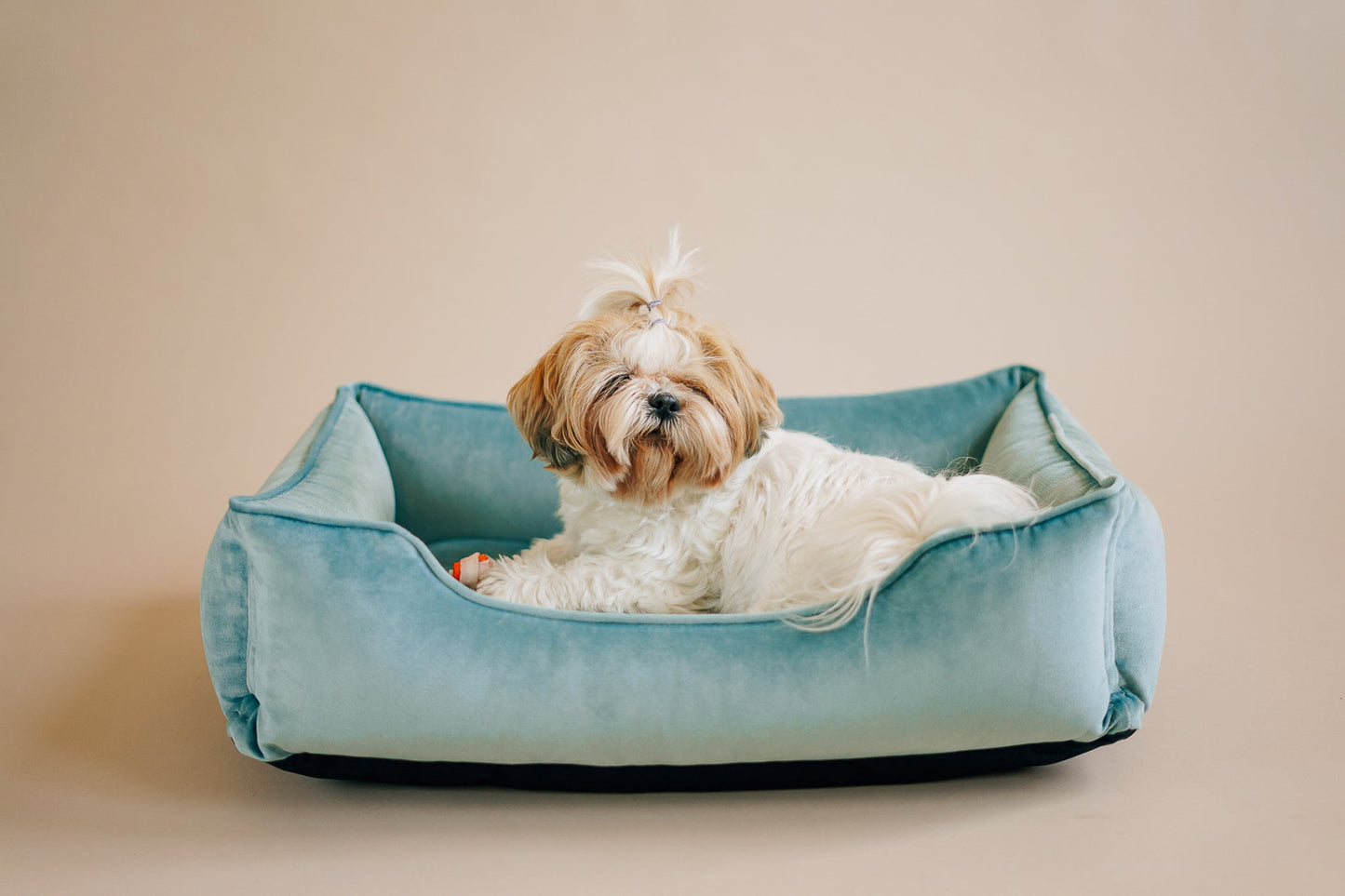 Luxurious Velvet Dog Bed - Tiffany Edition