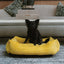 Cama para perros de lujo de corduroy amarillo soleado