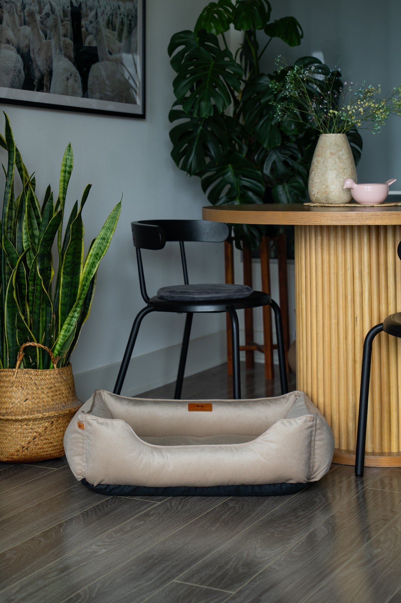 Lit orthopédique en velours luxueux beige