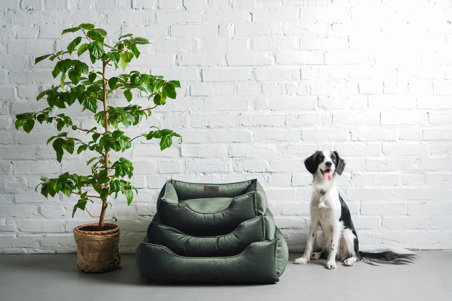 Lit pour chien en velours luxueux avec nid d'oiseau en vert émeraude