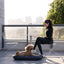 Premium Waterproof Lounger Dog Bed in Gray
