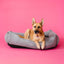 Luxurious Gray Corduroy Dog Sleeper Bed