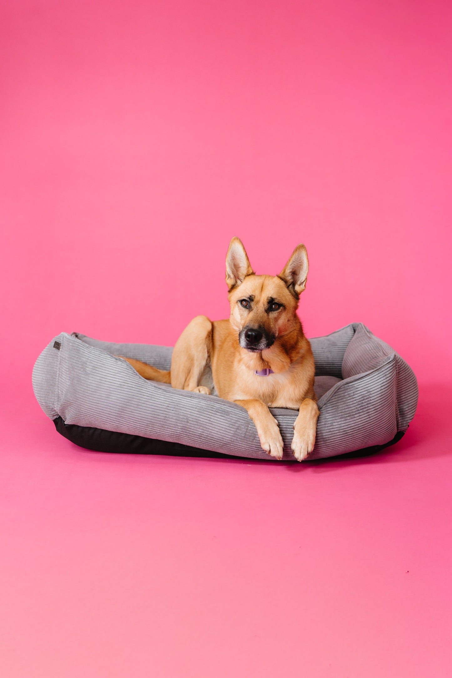 Luxurious Gray Corduroy Dog Sleeper Bed