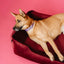 Luxurious Velvet Dog Bed in Rich Wine Color
