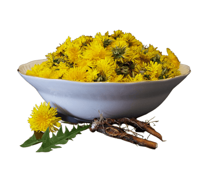 Organic Dandelion Root - Cut & Sifted Herbal Supplement - Korvel