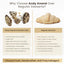 Andy Anand Dark Chocolate Almond Croissants - 10 Handcrafted Treats