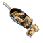 Rollo de Coco y Dátiles Orgánico con Almendras