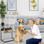 Support de bol surélevé pour chien avec bols en acier inoxydable