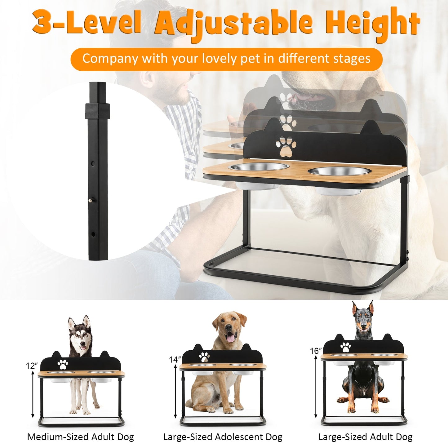 Support de bol surélevé pour chien avec bols en acier inoxydable