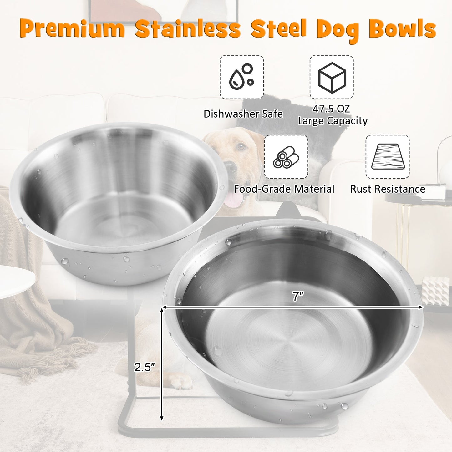 Support de bol surélevé pour chien avec bols en acier inoxydable
