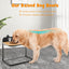 Support de bol surélevé pour chien avec bols en acier inoxydable
