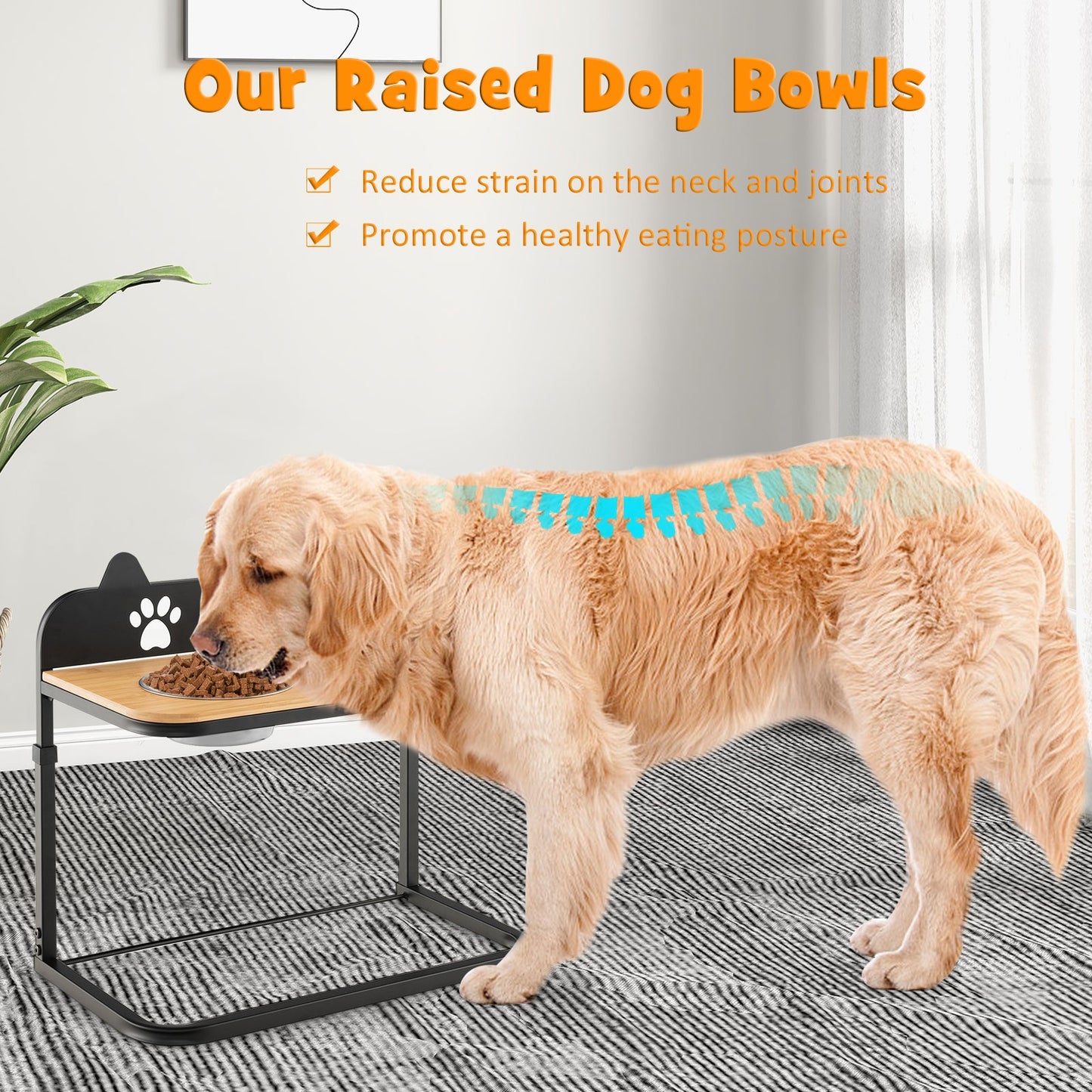 Support de bol surélevé pour chien avec bols en acier inoxydable
