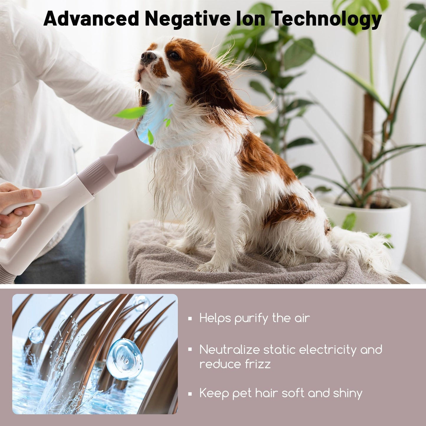 Secador de Pelo Premium para Perros y Gatos con Temperatura Ajustable