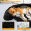 Cama Sofá de Perro Calmante de Felpa con Fondo Antideslizante - Mediana
