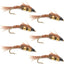 Premium Double Bead Pheasant Tail Nymph Flies - Set of 6, Size 14 - Korvel
