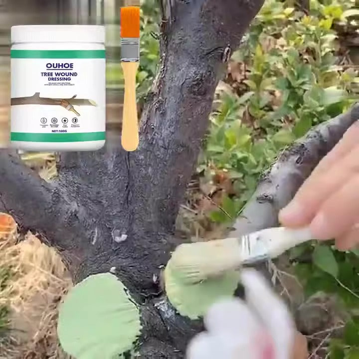 Seedling Tree Wound Sealer Callus Scars Cut Paste Bonsai Pruning Sealer Saw Cuts Coating Tree Wound Healing Paste Tree - Korvel