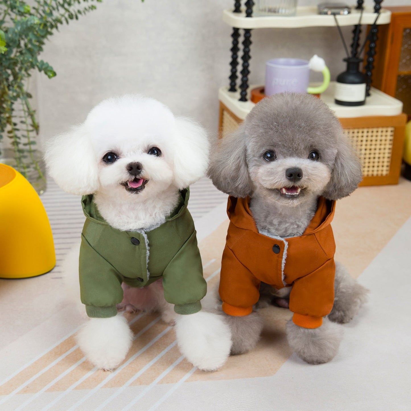 Pet clothes sweaters clothing for dogs teddy cats cool style two legged cotton clothes - Korvel
