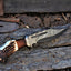 Exclusive 13" Damascus Bowie Knife – Stag Crown & Rosewood Handle with Premium Leather Sheath - Korvel