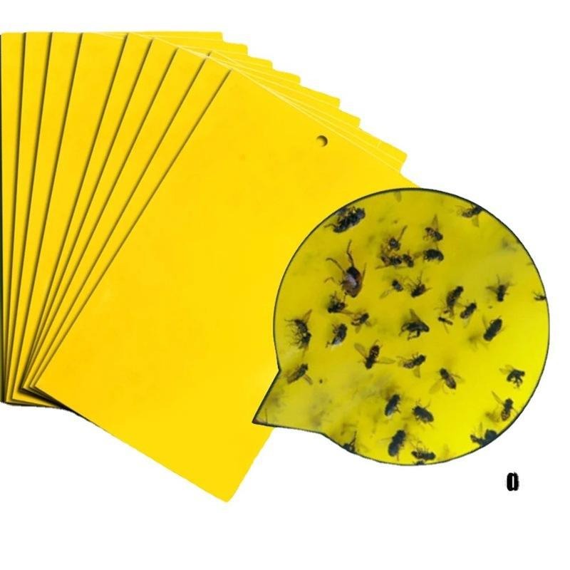 Double sidedStrong Flies Traps Bugs Sticky Board Catching Aphid Insects Killer fly Control Whitefly Thrip Leafminer Glue Sticker - Korvel