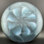 Ti Sparkle Buzzz - Ledgestone 2025 Season 2 Disc Golf Disc