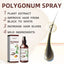 Polygonum Spray, Moisturizing Hair Smooth Shine Thick Solid Hair Black Hair Conditioning Spray - Korvel
