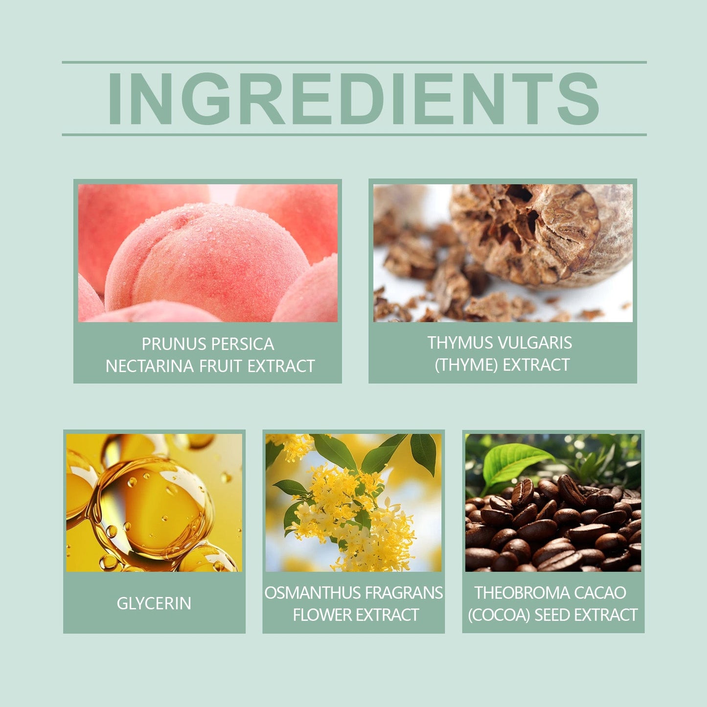 Clear Fragrance Type Solid Balm Fresh Charm Light Elegant Charm Keep Fragrance Fresh Non-Sticky Solid Balm - Korvel
