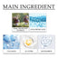 Snail Essence Cream, Lighten Fine Lines Hydrating Moisturizing Whitening Skin Protein Repair Cream - Korvel