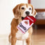 Ciga-rette-like Dog Toy, a Pet Self-entertainment Plush Toy that is Chew-resistant and Helps with Teething - Korvel