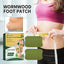 Wormwood Foot Patch, Relieve Body Stress Help Sleep Slimming Toning Foot Deodorant Care Patch - Korvel