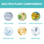 Acne Patch Repair Acne Patch Pore-Cleansing Invisible Breathable Concealer Waterproof Acne Patch - Korvel